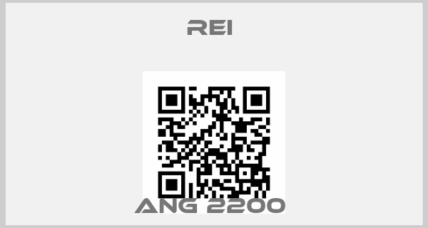 REI -Ang 2200 price
