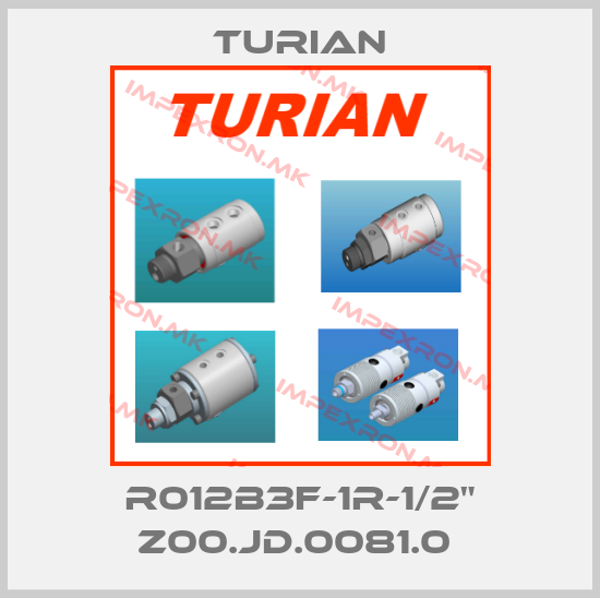 Turian-R012B3F-1R-1/2" Z00.JD.0081.0 price