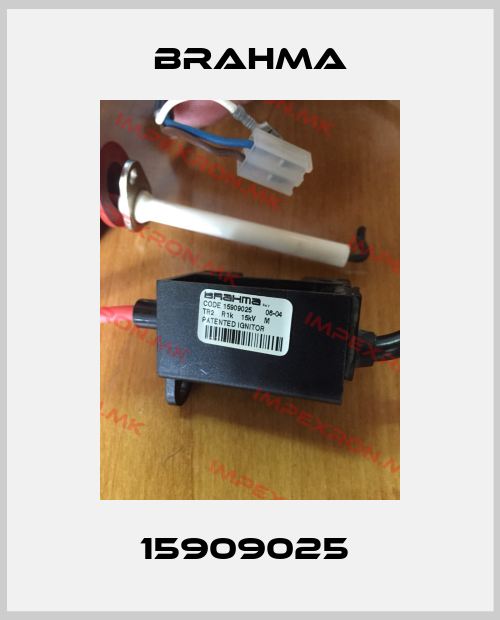 Brahma-15909025 price