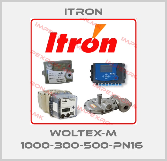 Itron-WOLTEX-M 1000-300-500-PN16 price