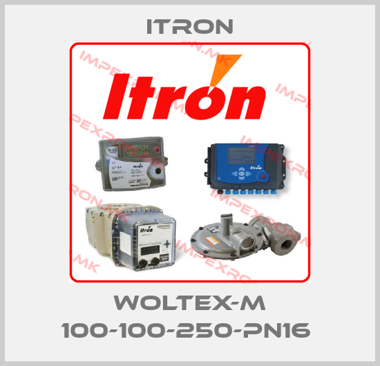 Itron-WOLTEX-M 100-100-250-PN16 price