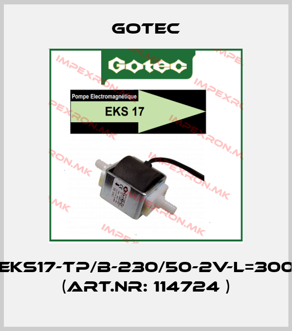 Gotec-EKS17-TP/B-230/50-2V-L=300 (Art.nr: 114724 )price