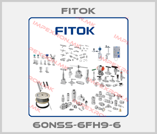 Fitok-60NSS-6FH9-6 price
