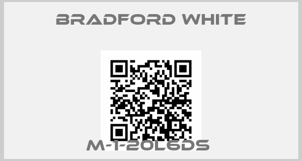Bradford White-M-1-20L6DS price