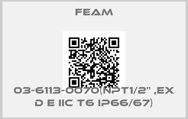 Feam-03-6113-0070(NPT1/2" ,Ex d e IIC T6 IP66/67)price