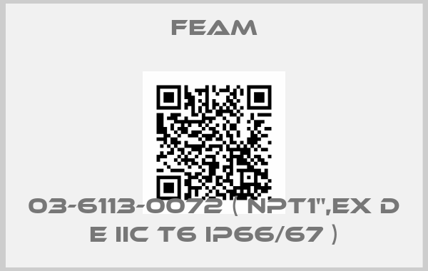Feam-03-6113-0072 ( NPT1",Ex d e IIC T6 IP66/67 )price