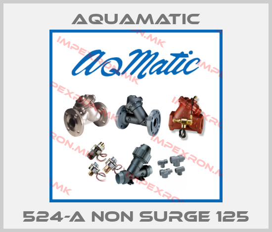 AquaMatic-524-A non surge 125price