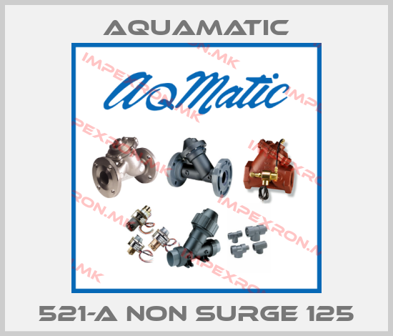 AquaMatic-521-A non surge 125price