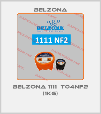Belzona-Belzona 1111  T04NF2 (1kg)price
