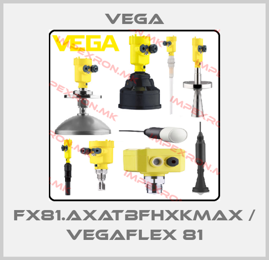 Vega-FX81.AXATBFHXKMAX / VEGAFLEX 81price