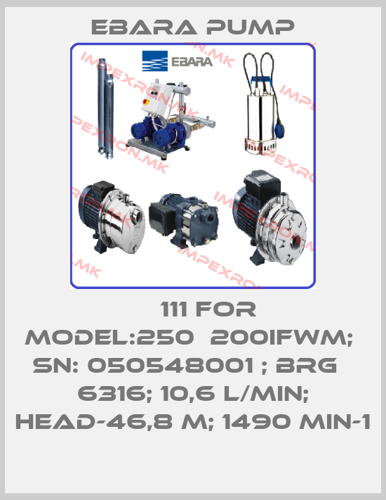 Ebara Pump-№  111 for Model:250х200IFWM;  SN: 050548001 ; Brg№ 6316; 10,6 L/min; head-46,8 m; 1490 min-1price