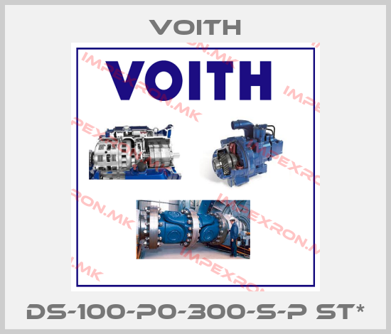 Voith-DS-100-P0-300-S-P st*price