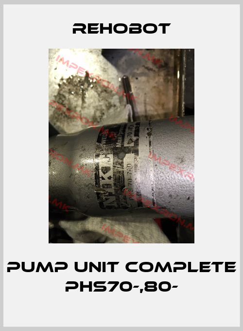 Rehobot-Pump unit complete PHS70-,80-price