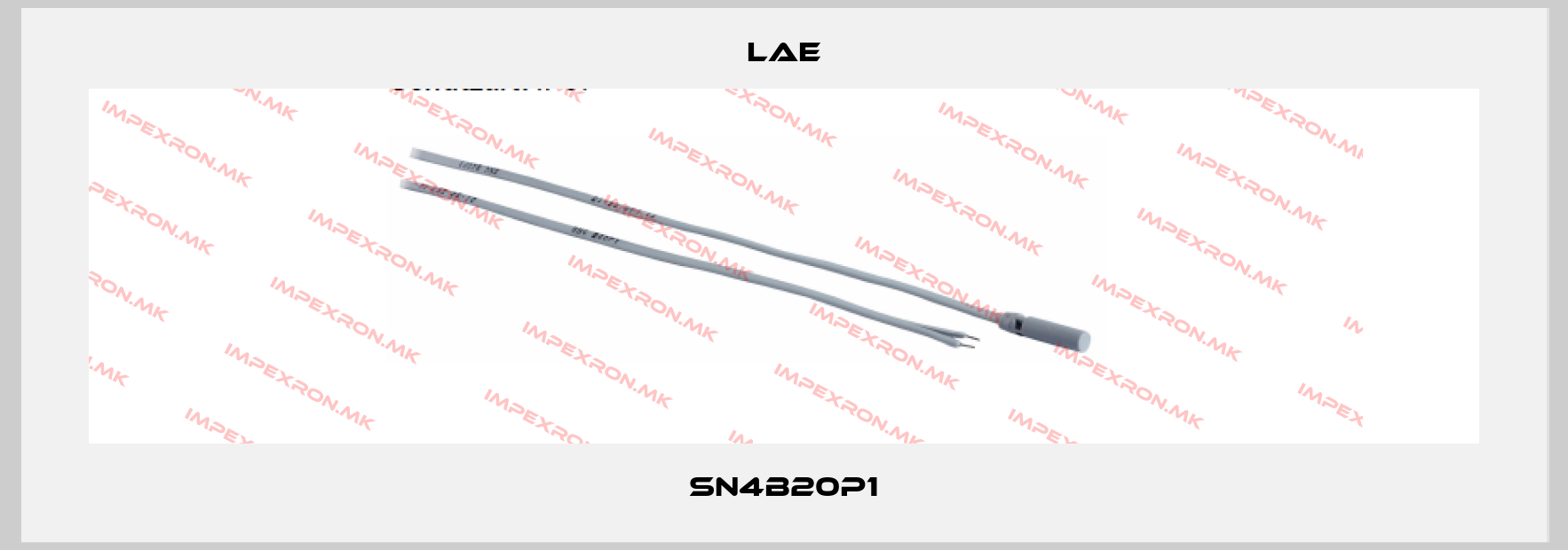 LAE Europe