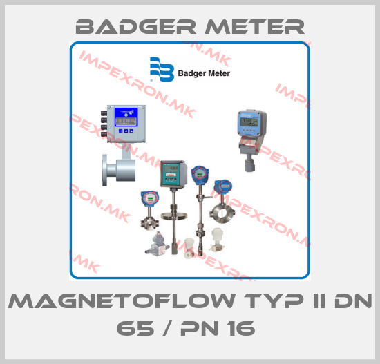 Badger Meter-MAGNETOFLOW TYP II DN 65 / PN 16 price