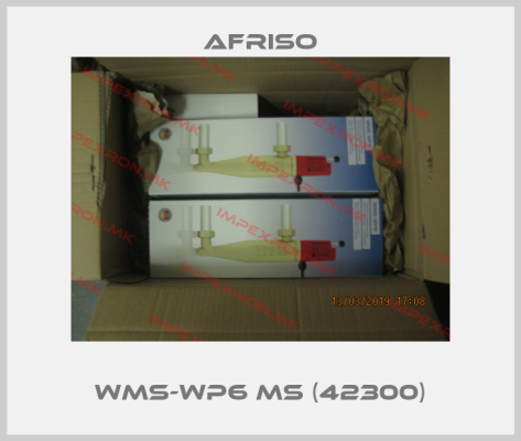 Afriso-WMS-WP6 MS (42300)price