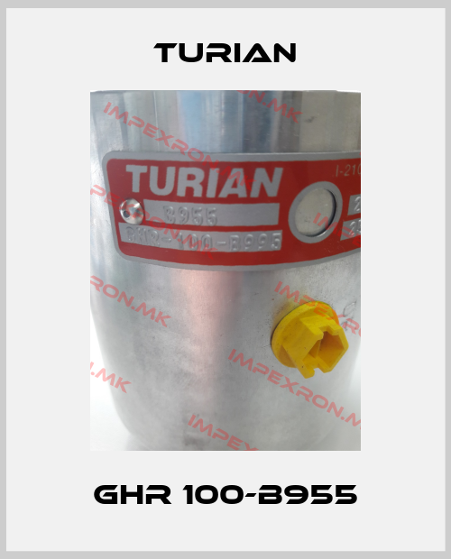 Turian-GHR 100-B955price
