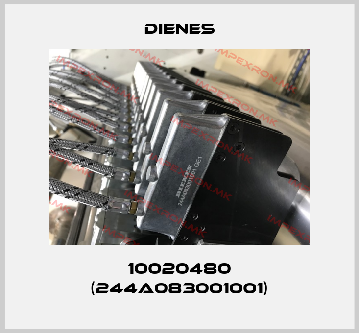 Dienes Europe