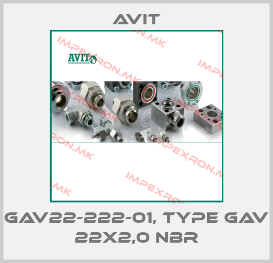 Avit-GAV22-222-01, type GAV 22x2,0 NBRprice