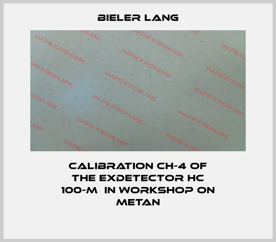 Bieler Lang-Calibration CH-4 of the ExDetector HC 100-M  in workshop on metanprice