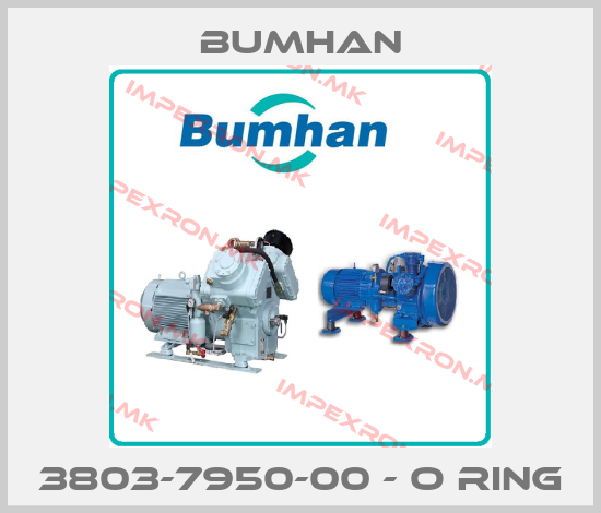 BUMHAN-3803-7950-00 - O Ringprice