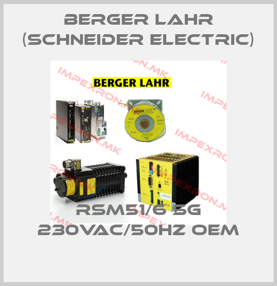 Berger Lahr (Schneider Electric)-RSM51/6 SG 230VAC/50Hz oemprice