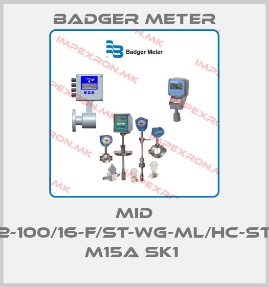 Badger Meter-MID 2-100/16-F/ST-WG-ML/HC-ST M15A SK1 price