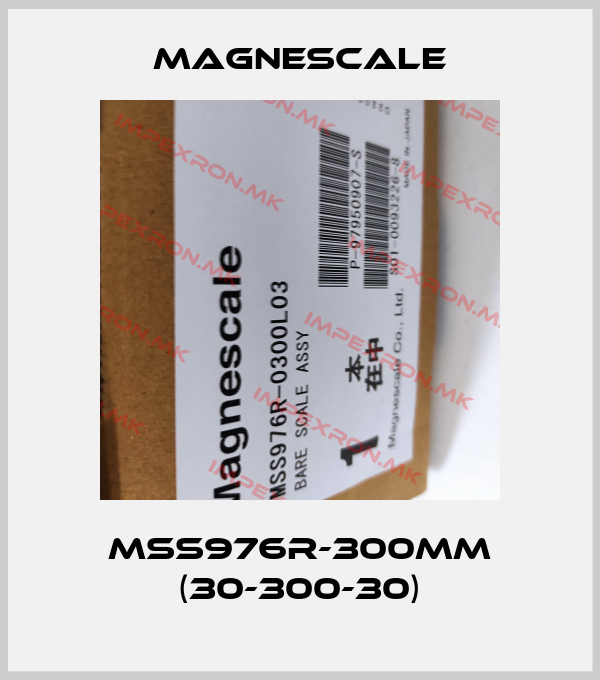 Magnescale-MSS976R-300MM (30-300-30)price