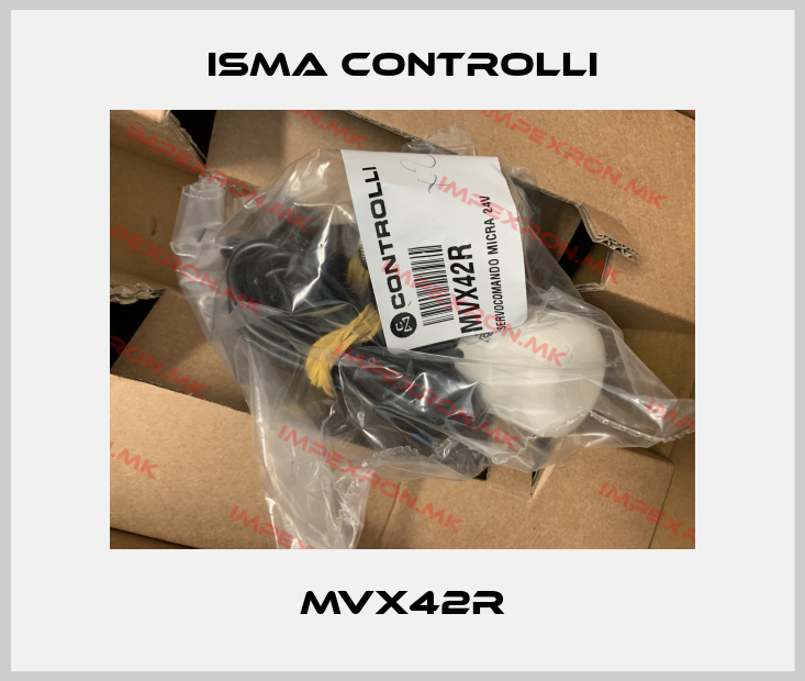 iSMA CONTROLLI Europe