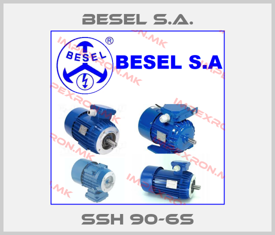 BESEL S.A. Europe