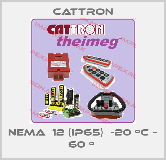 Cattron-NEMA  12 (IP65)  -20 ºC – 60 º price