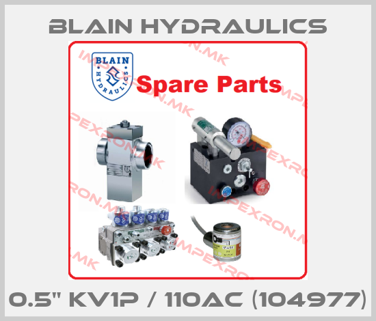 Blain Hydraulics-0.5" KV1P / 110AC (104977)price