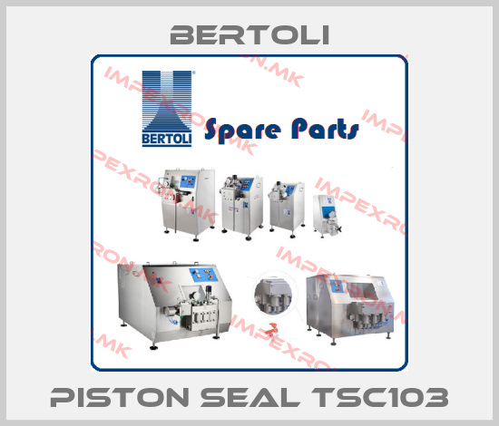 BERTOLI-PISTON SEAL TSC103price