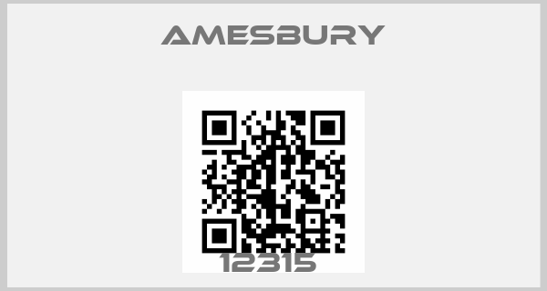 Amesbury-12315 price