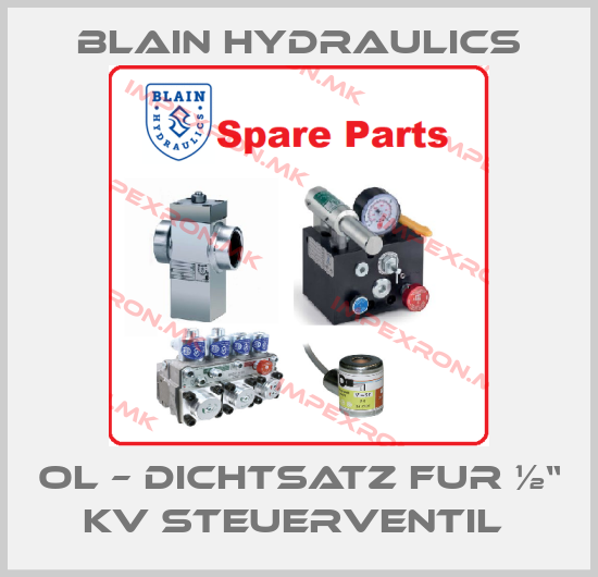 Blain Hydraulics Europe