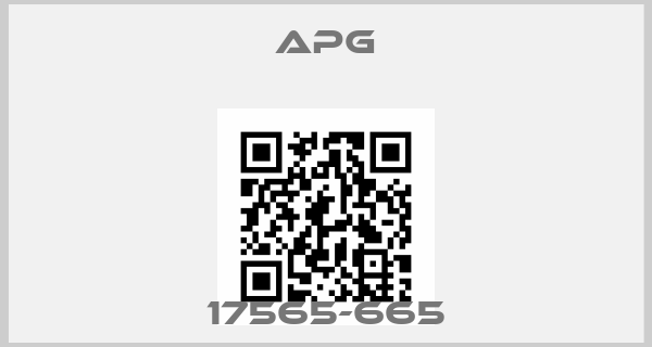 APG-17565-665price