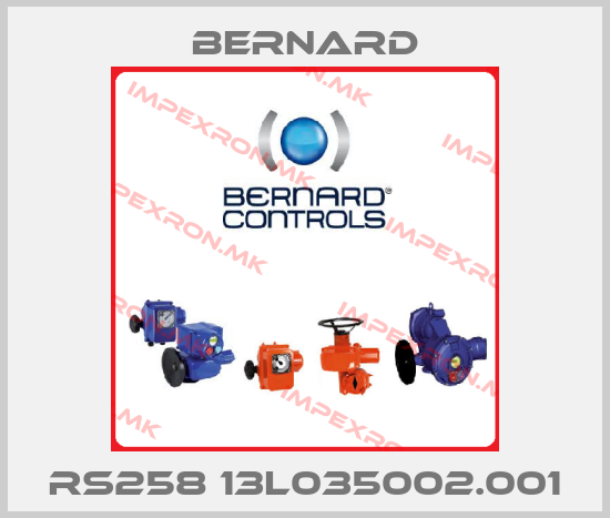 Bernard-RS258 13L035002.001price