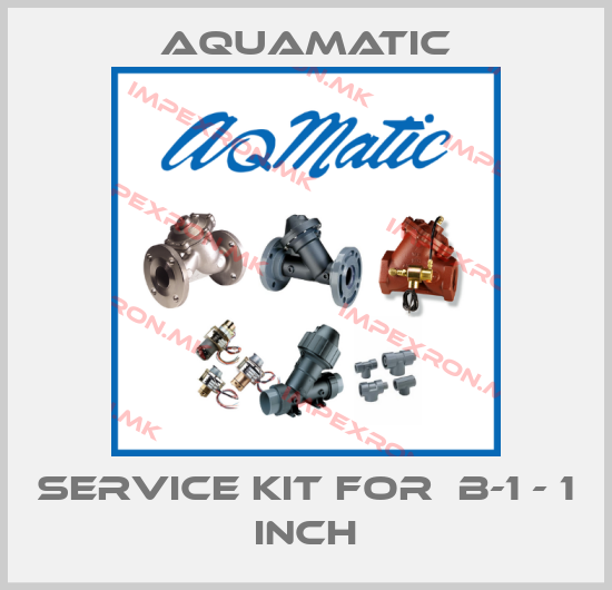 AquaMatic-service kit for  B-1 - 1 inchprice