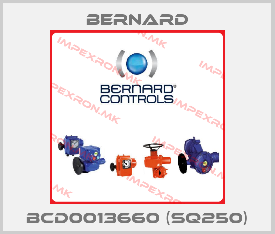 Bernard-BCD0013660 (SQ250)price