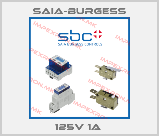 Saia-Burgess-125V 1A price