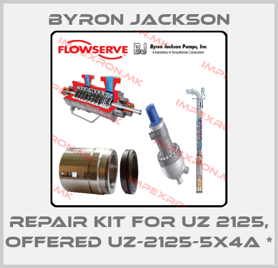 Byron Jackson-Repair Kit For UZ 2125, offered UZ-2125-5X4A *price