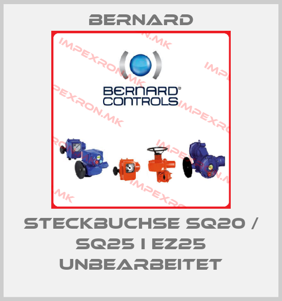 Bernard-STECKBUCHSE SQ20 / SQ25 I EZ25 unbearbeitetprice