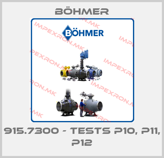 Böhmer-915.7300 - TESTS P10, P11, P12price