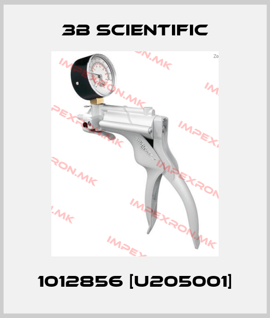 3B Scientific-1012856 [U205001]price