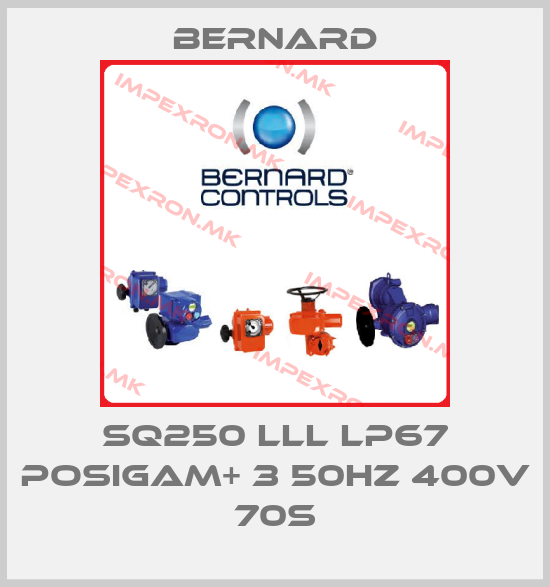 Bernard-SQ250 lll lP67 POSIGAM+ 3 50Hz 400V 70sprice