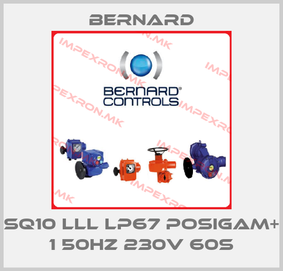 Bernard-SQ10 lll lP67 POSIGAM+ 1 50Hz 230V 60sprice