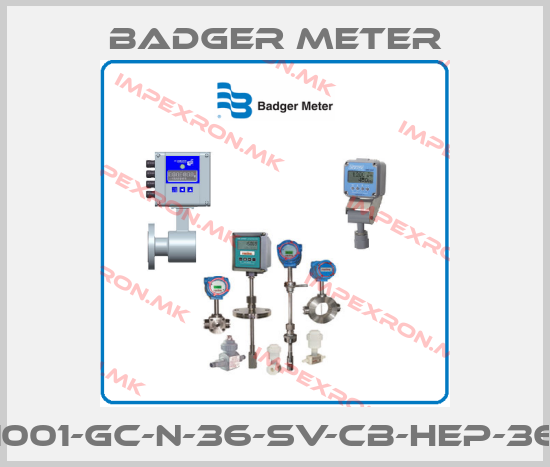Badger Meter-1001-GC-N-36-SV-CB-HEP-36price