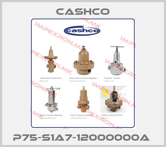 Cashco-P75-S1A7-12000000A price