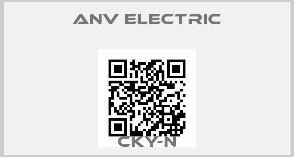 ANV Electric-CKY-Nprice