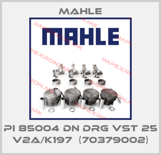 MAHLE-PI 85004 DN DRG VST 25 V2A/K197  (70379002)price
